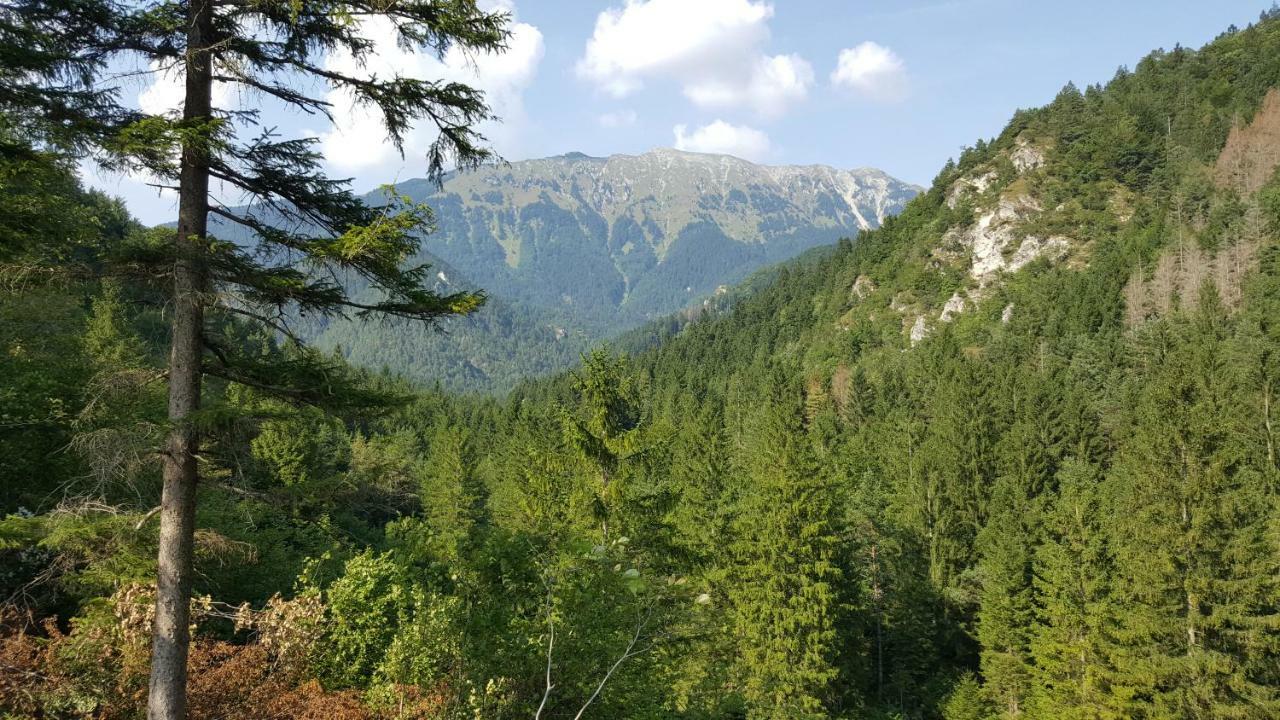 Rooms Mocilnik Begunje na Gorenjskem Esterno foto